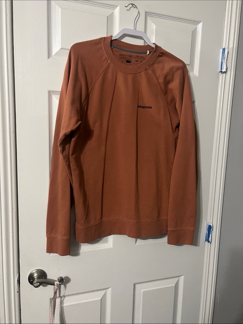 Patagonia Men’s Crewneck Sweatshirt in Rust Orange